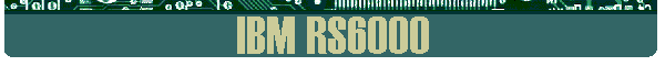 IBM RS6000